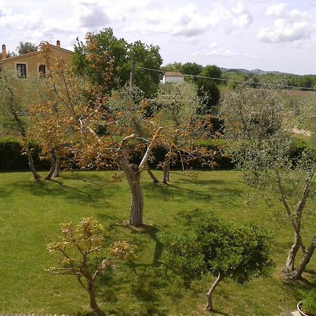 Il Punto Verde Sant'Antonio  Luaran gambar