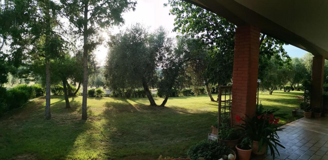Il Punto Verde Sant'Antonio  Luaran gambar