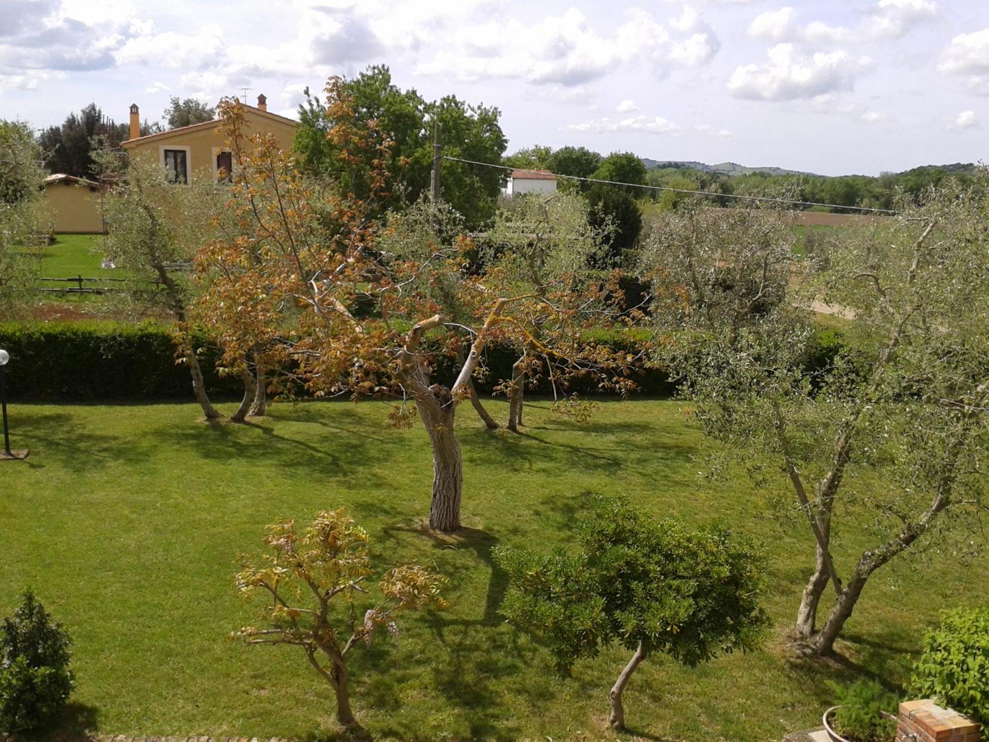 Il Punto Verde Sant'Antonio  Luaran gambar