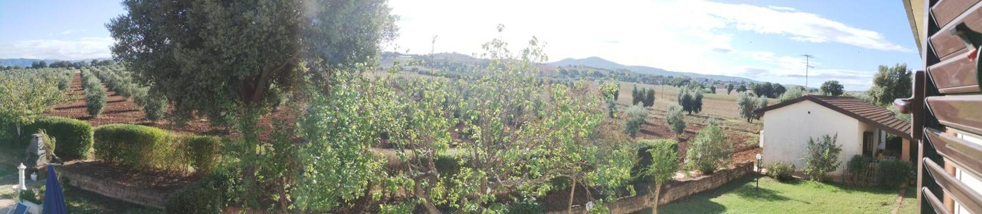 Il Punto Verde Sant'Antonio  Luaran gambar