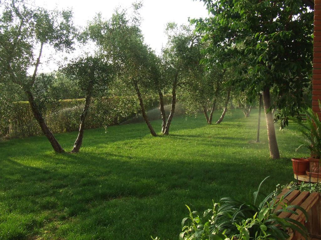 Il Punto Verde Sant'Antonio  Luaran gambar