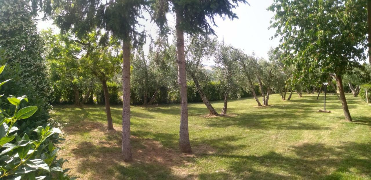 Il Punto Verde Sant'Antonio  Luaran gambar