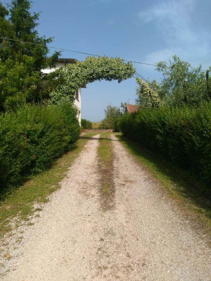 Il Punto Verde Sant'Antonio  Luaran gambar